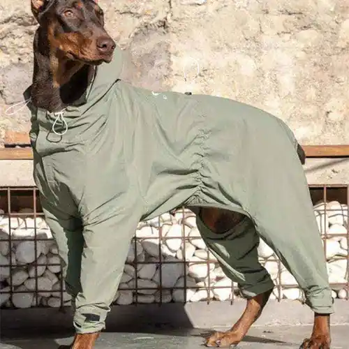 Slutrea | Cappotto Impermeabile Cani 4 Zampe Sniff’s Friends con Cappuccio