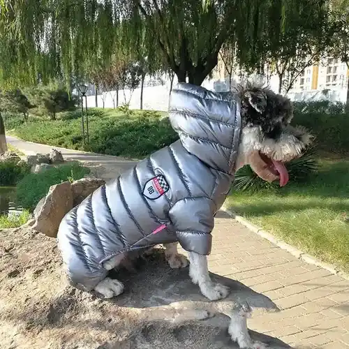 Cappotto Impermeabile Cani 4 Zampe Graffiti con Cappuccio - Fynd