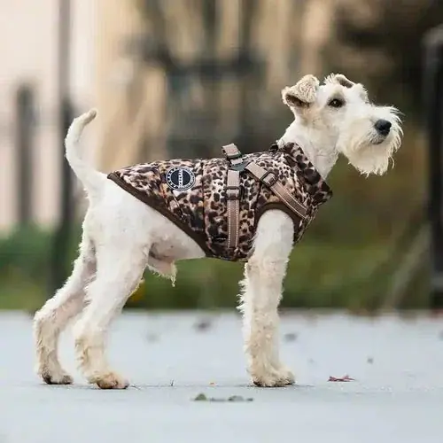 Favorit hos kunderna | Cappotto Impermeabile Cani Comet Leopardato con Pettorina