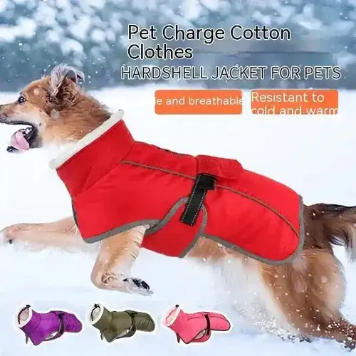Kampanjen går snart ut - Cappotto Impermeabile per Cani ”Shield”