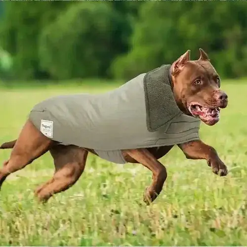 Spara mer | Cappotto Impermeabile per Cani ”Sky”