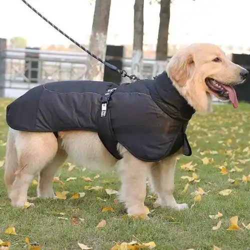 I lager - Cappotto Impermeabile per Cani Duomm Antipioggia con Zampe Dogmoda