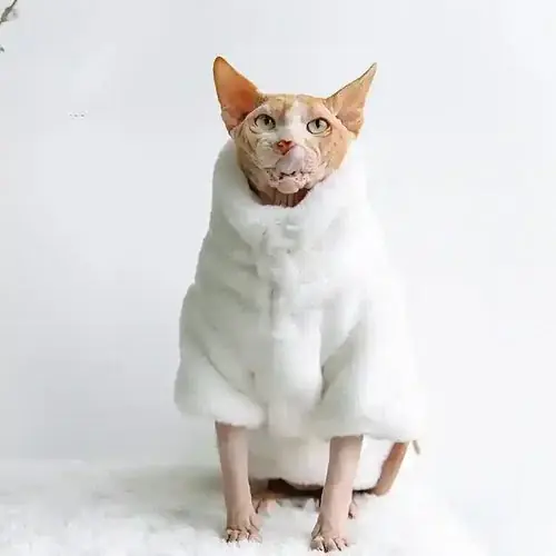 Cappotto in Eco-Pelliccia per Gatti ”McQueen” – Caldo e Elegante | Mycket efterfrågad