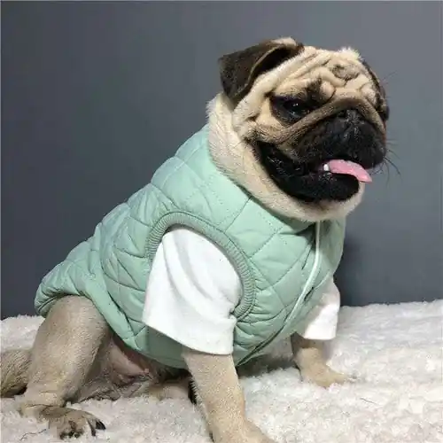 Cappotto Invernale Cane ”Beache” con Bottoni – Morbido e Caldo - Efterfrågad