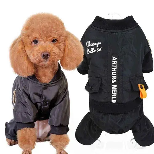 Cappotto Nero Quattro Zampe ”Chicago Bulls” – Eleganza e Stile per il Tuo Cane | Favorit