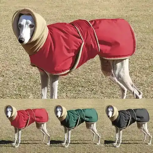 Handla säkert - Cappotto per Alano in Pile e Tessuto Tecnico – Comfort e Protezione