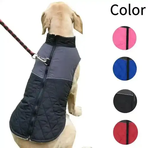 Cappotto per Cani ”Alvin” – Caldo, Elasticizzato e con Anello per Guinzaglio ❄️ - Populärt just nu