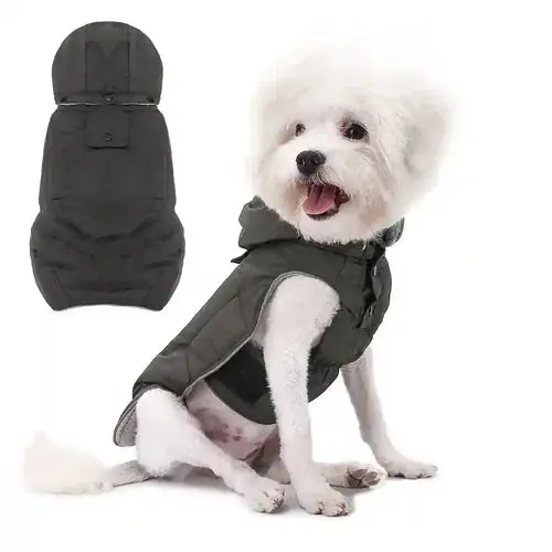 Cappotto per Cani ”Nairobi” con Cappuccio Removibile e Chiusura in Velcro - Nyhet i sortimentet