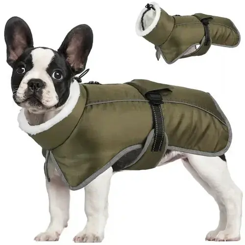 Kanonerbjudande - Cappotto per Cani ”Nuvola Calda” con Pile e Protezione Antivento