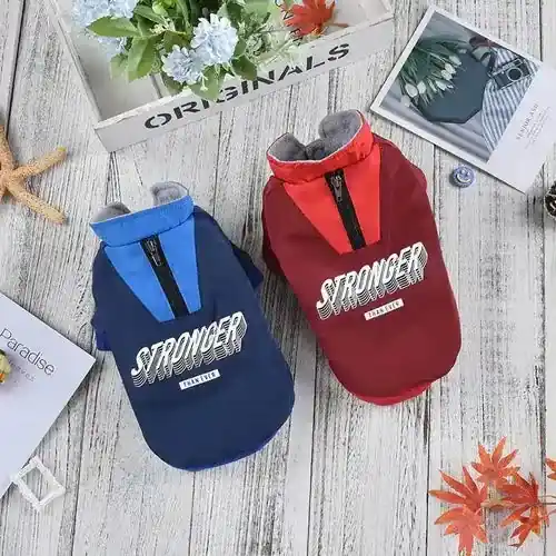 Lågt pris - Cappotto per Cani ”Stronger” in Pile con Zip e Chiusura a Bottoni