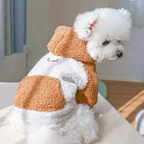 Cappotto per cani “Lamb” con cappuccio in pelo d’agnello | Kampanj