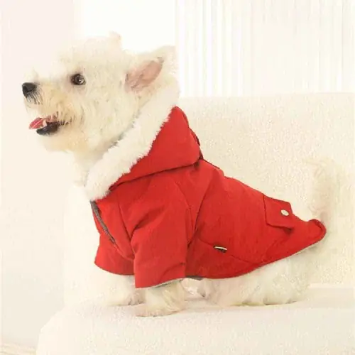 Mycket uppskattad - Cappotto per cani con cappuccio ”Zurigo” – Cheepet