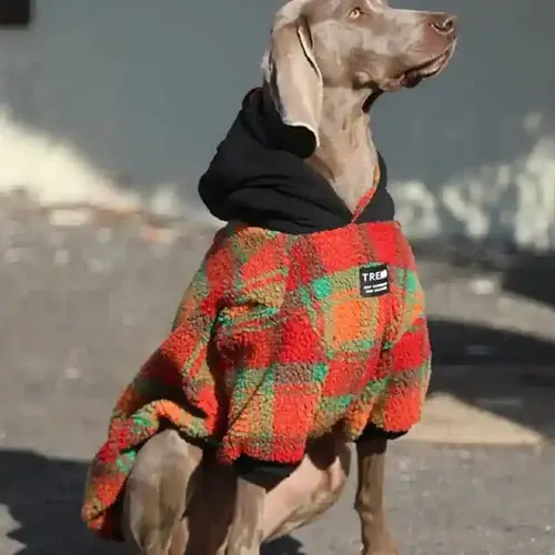 Sänkt pris | Cappotto per Cani con Cappuccio in Pile Caldo – Imbottito