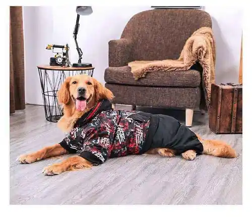 Cappotto per Cani Golden e Labrador Retriever con Protezione Totale - Spara nu
