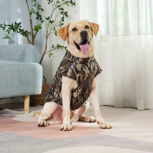 Rabatter - Cappotto per Cani Grandi ”Survival” – Smanicato con Anello Pettorina