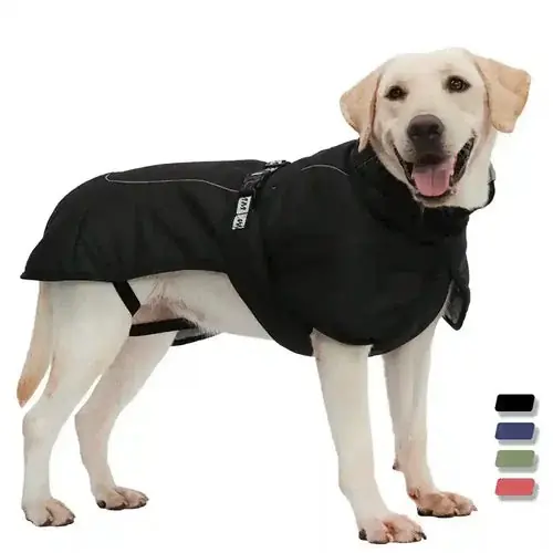 Cappotto per Cani Labrador ”Atlanta” – Impermeabile, Sicuro e Riflettente | Superpris