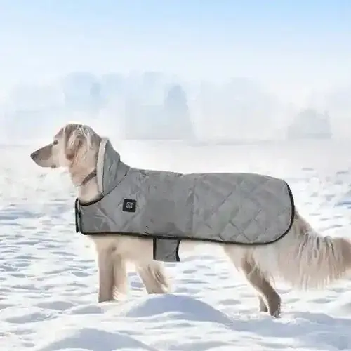 Cappotto Riscaldante USB per Cani ARTIC Love – Tecnologia Caldo - Trygg betalning
