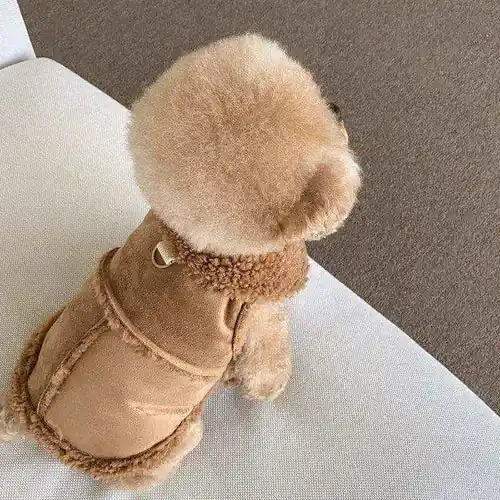 Toppsäljare | Cappotto Scamosciato con Pettorina per Cani Dogmoda.it