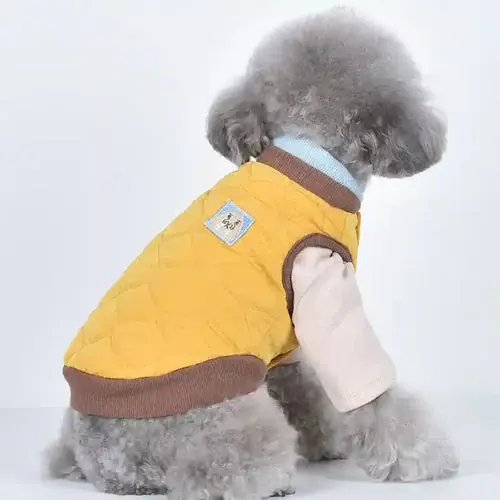 Missa inte erbjudandet | Cappotto Smanicato Cani Daru – Trapuntato a Rombi