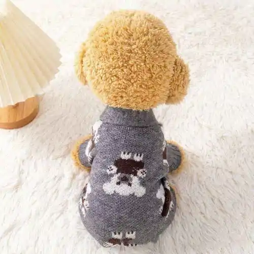 Passa på | Cardigan Adorabile per Cani – Fantasia Orsetto