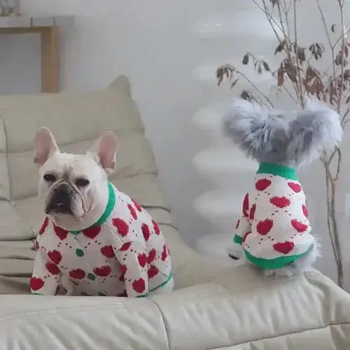 Cardigan Cuori d’Amore Eleganza e Comfort per il Tuo Amico Fedele | Försäljningssuccé