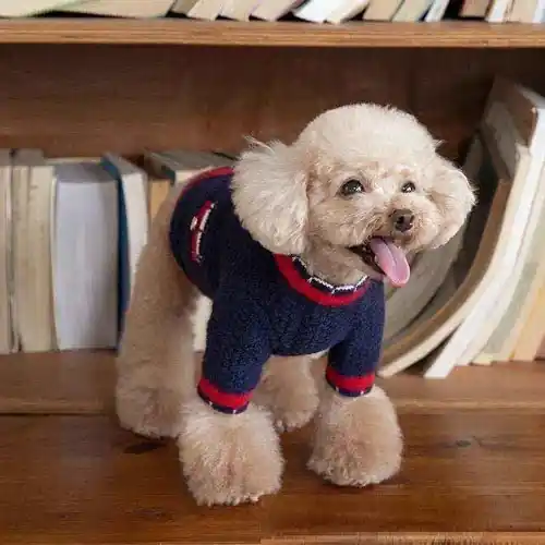 Precis inkommet | Cardigan Elegante per Cani con Taschine e Mezza Manica – Modello ”Flute”