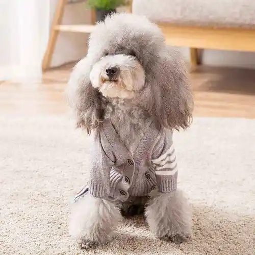 Storsäljare - Cardigan per Cani ”Paris” Grigio con Chiusura a Bottoni sul Torace