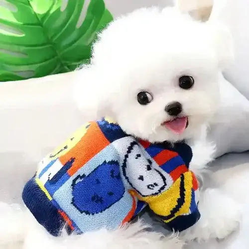 Sista chansen | Cardigan per Cani Blu con Smile – Stile Casual e Massimo Comfort!