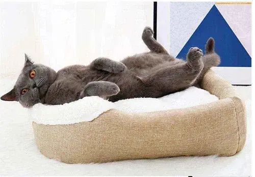 Efterfrågad - Casetta per Gatti Ripiegabile ”Tempio delle Fusa” – Morbida, Accogliente e Versatile