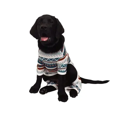 Direkt från fabriken - Celebrations Fair Isle Dog Pajamas