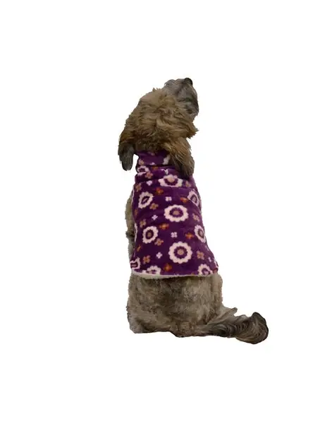 Specialerbjudande - Celebrations Flower Power Dog Coat