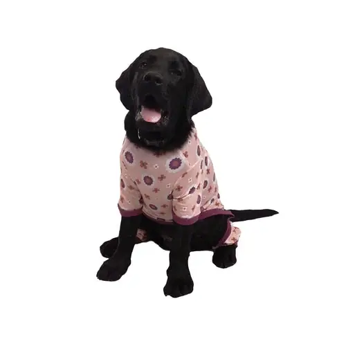 Toppkvalitet | Celebrations Flower Power Dog Pajamas