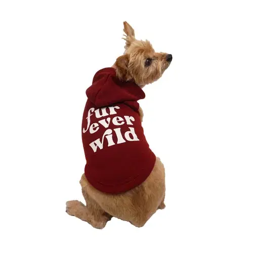 Nyligen lanserat | Celebrations Fur Ever Wild Dog Hoodie