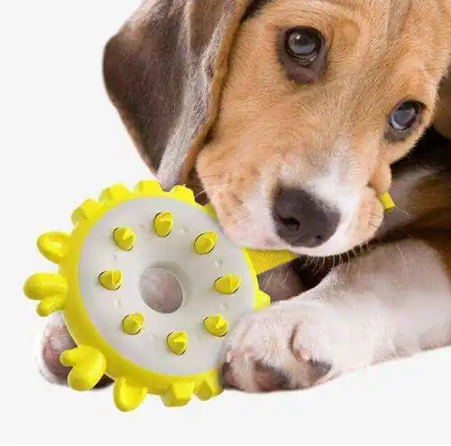 Ciambella TPR per Cani – Gioco Interattivo e Cura Dentale in un Solo Prodotto - Missa inte erbjudandet