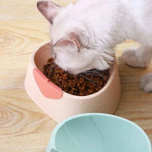 Ciotola per cani ”Strawberry” - Direkt från fabriken