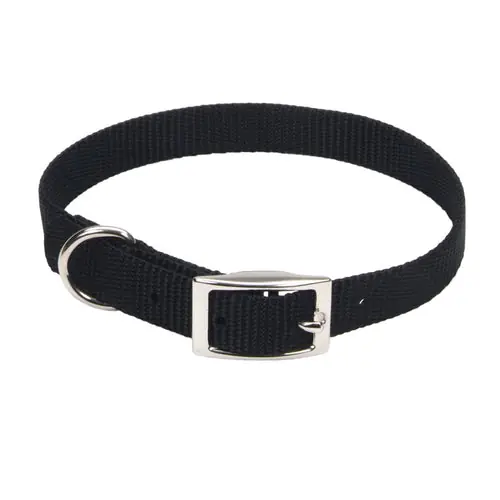 Coastal® Single-Ply Dog Collar, Black Small | Kundernas favorit
