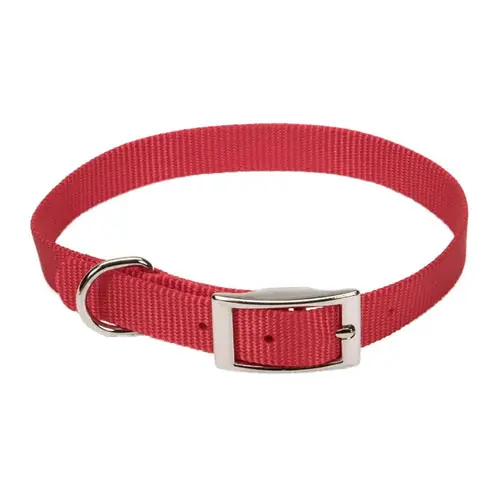 Coastal® Single-Ply Dog Collar, Red Small | Under begränsad tid