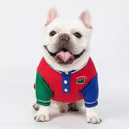 Cocco Chic – Maglioncino Elegante per Cani - Enkel beställning