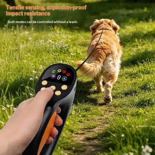 Collare Addestramento Cane Smart 4 Modi IPX7 LED - Favorit hos kunderna