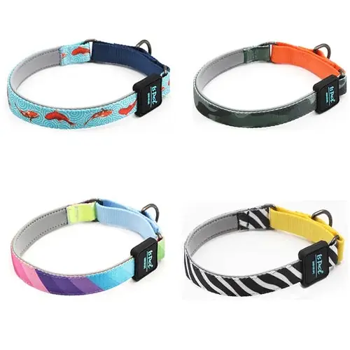 Tillverkarpris - Collare Cane con Catena in Poliestere Resistente