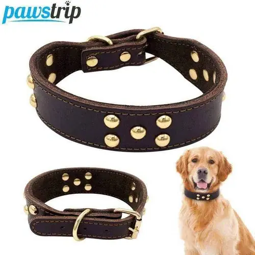 Collare in Cuoio per Cani ”Pawstrip” con Borchie – Elegante e Resistente | Professionell kvalitet