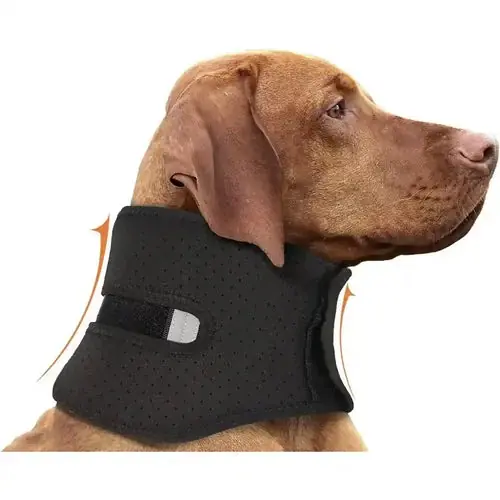 Spara nu | Collare Ortopedico per Cani – Supporto Cervicale Forte Antileccamento