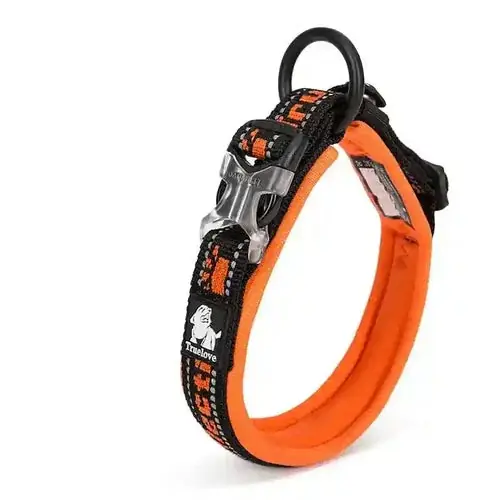 Rabatt - Collare per cani ”Outlaw” Truelove