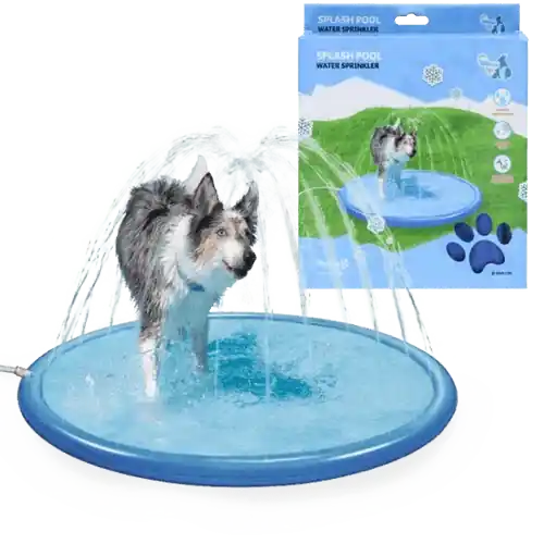Fynd | Cool Pets Splash Sprinkler