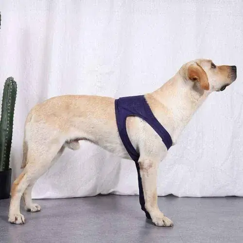 Premiumkvalitet | Copri fasciatura per zampe anteriori del cane