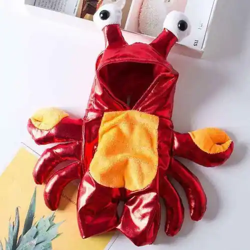 Costume di Carnevale per cani e gatti ”Aragosta” DogModa | Begränsat lager