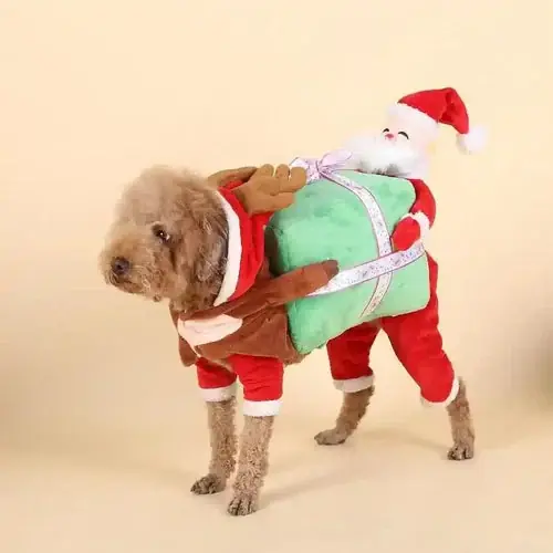 Mycket populär - Costume per cani ”Aiutante di Babbo Natale” – Divertimento e magia per il tuo cane durante le festività