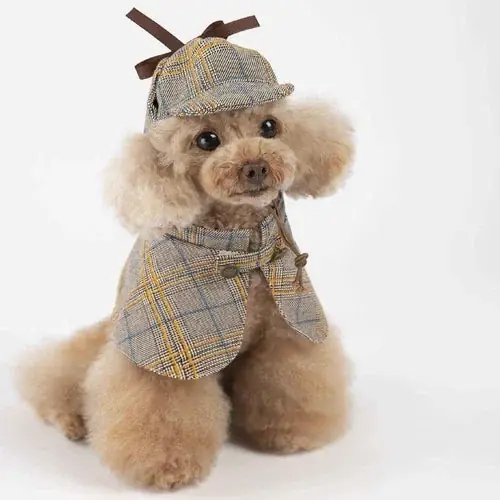 Köp direkt | Costume per Cani ”Sherlock Holmes” – Stile Detective in Camel