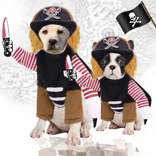 Populärt just nu - Costume per cani e gatti da pirata Halloween e feste