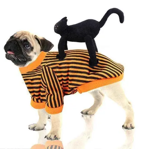 Costume per cani Halloween con gatto nero sulla schiena | Premiumkvalitet